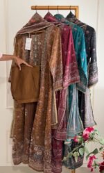 SZ1111 - Rajwadi Suit - Image 3