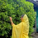 SZ1195 - Mul cotton suit