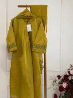 SZ1221 - Soft chanderi suit - Image 5