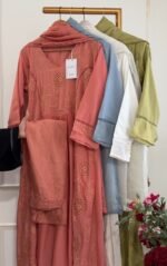 SZ1249 - Semi Mul chanderi suit set - Image 4